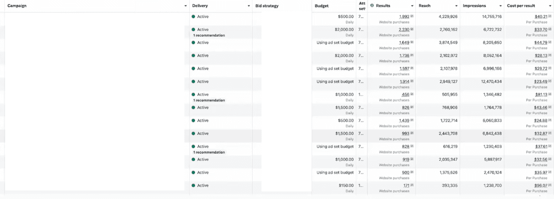 Meta Ads campaign manager — active campaigns